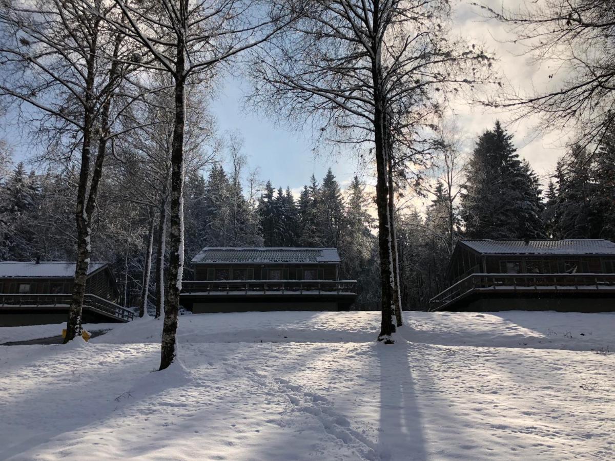 בולאנז' Chalet De Charme, Le "Caribou Lodge", Eifel Belge מראה חיצוני תמונה